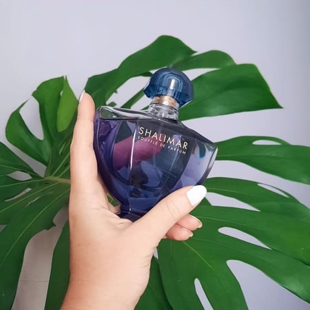 عطر غيرلان شاليمار سوفل دي بارفيوم او دو بارفيوم 90 مل