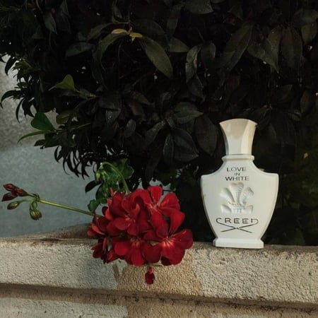 عطر كريد لوف إن وايت النسائي او دو بارفيوم 75 مل