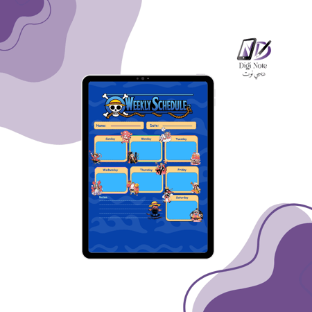 One Piece Digital Organizers – Three Different Forms