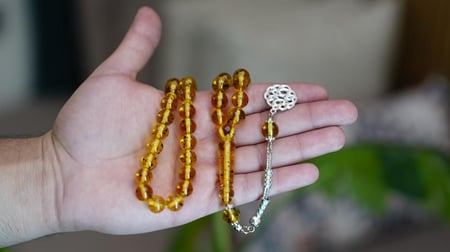 بكلايت بلجيكي اصفر محشر مع طربزونة 18