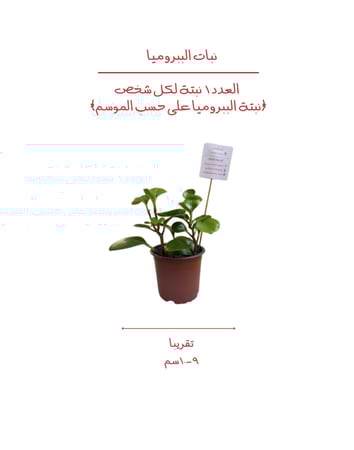 تلوين مركن نبتتك مع الزراعة- Paint and plant