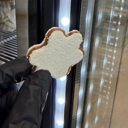 وردة البقل ٦ حبات