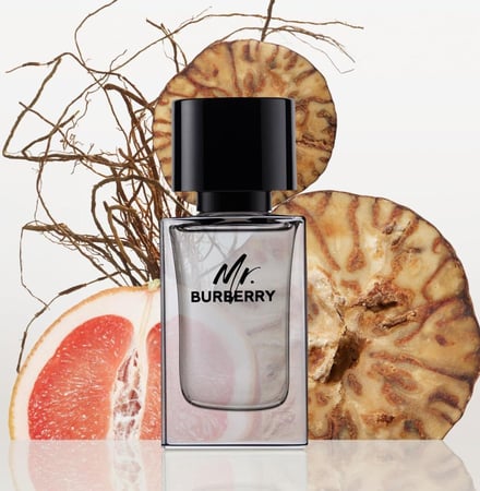 عطر بربري مستر بربري الرجالي او دو تواليت 100مل