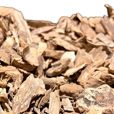 عود سيلاني سوبر ميني ودقة غابات آدم