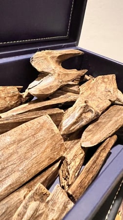 عود سيوفي فيتنامي طبيعي محسن  كسر كبيرة