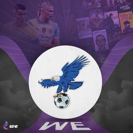 اشتراك فولتشر 9 شهور