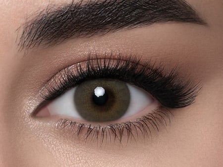 عدسات بتروليوم لنس مي