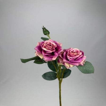 روز ثلاث زهور -متعدد الالوان