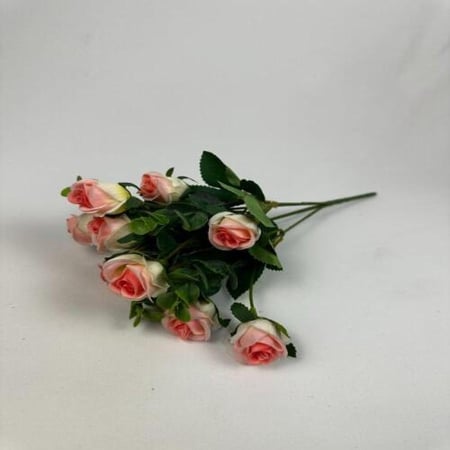 باقة بيبي روز -متعدد الالوان