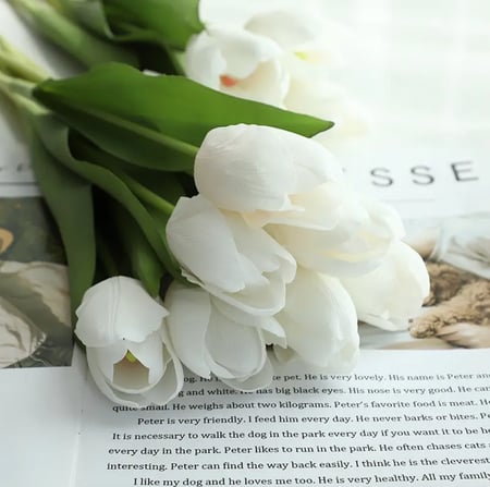 تيوليب -متعدد الالوان