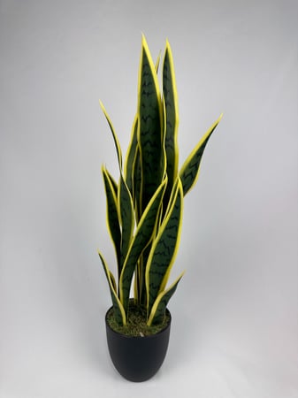 نبتة صبار صناعي