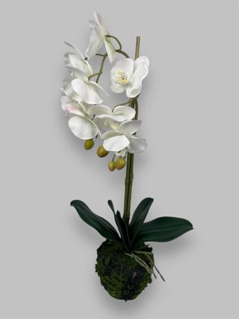 نبتة اوركيد صناعي - متوفر بلونين