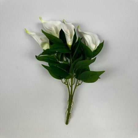 زهرة زنبق السلام -متعدد الالوان