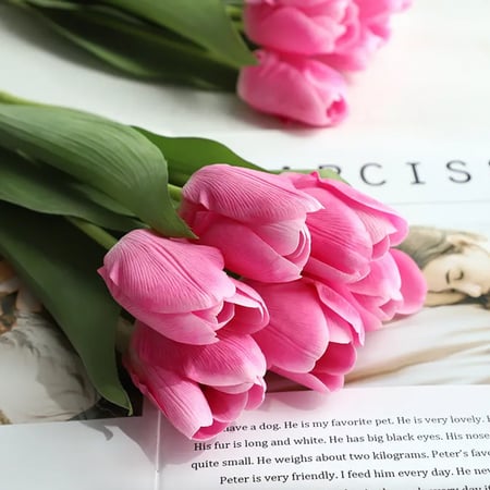 تيوليب -متعدد الالوان