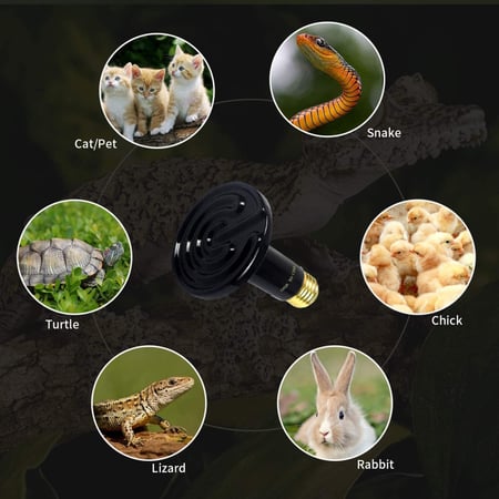 لمبات تدفئة للزواحف 75W-  100W