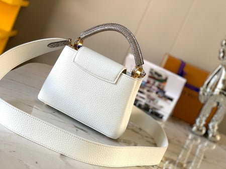 لوي فيتون كابسين ميني 21cm