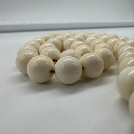 سبحة عظم مطعم بكوك