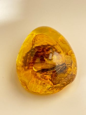 تحفة تراب كهرمان محشي فراشة طبيعي