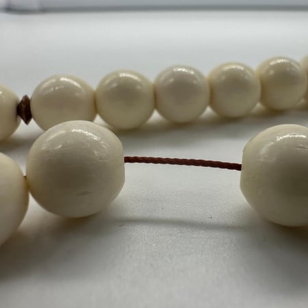 سبحة عظم مطعم بكوك