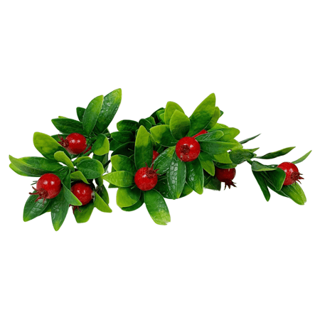 شجرة رمان للديكور