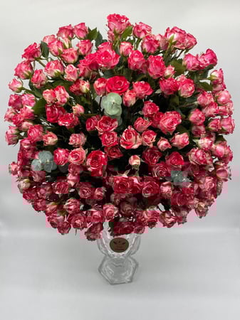 فازة الذكرى