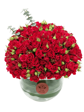 فازة غاليتي