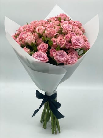 بوكية فيولا