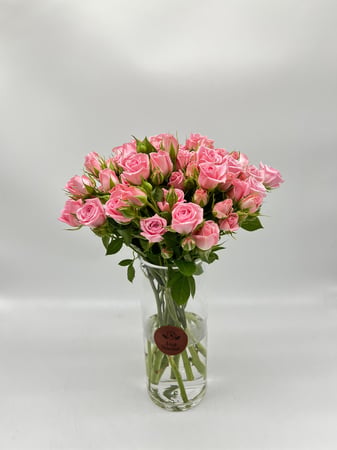 سعاد