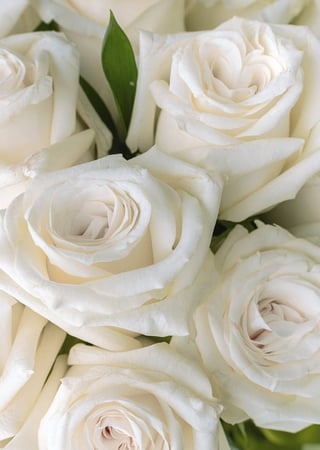 وردة - مزهرية