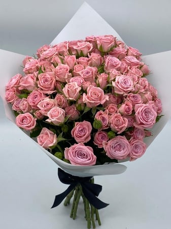 بوكية فيولا