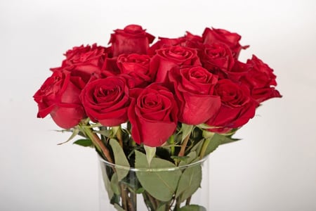 ورد جوري - وردة - ورد - مزهرية عيد الحب