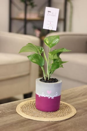 حوض كونكريت عيد سعيد صغير بألوان مختلفة