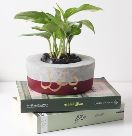 حوض كونكريت حجم صغير