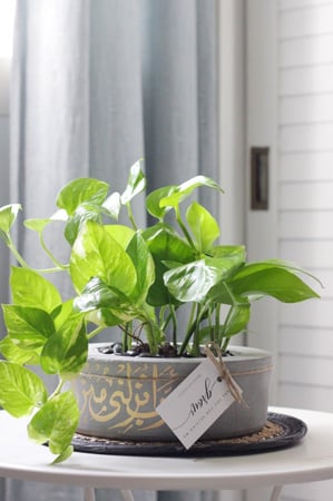 حوض كونكريت (ربِ أنزلني مُنزلاً مباركاً وأنت خير المنزلين )