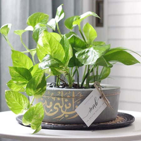 حوض كونكريت (ربِ أنزلني مُنزلاً مباركاً وأنت خير المنزلين )