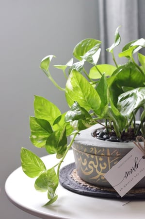 حوض كونكريت (ربِ أنزلني مُنزلاً مباركاً وأنت خير المنزلين )