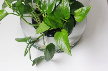 حوض كونكريت بتصميم زيتي ( مخصصه بالأسم )