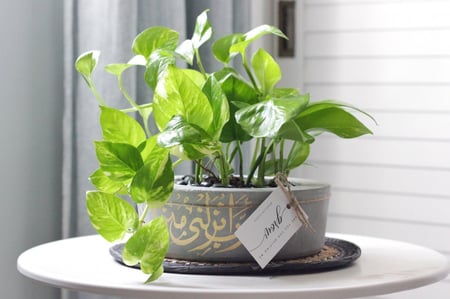 حوض كونكريت (ربِ أنزلني مُنزلاً مباركاً وأنت خير المنزلين )