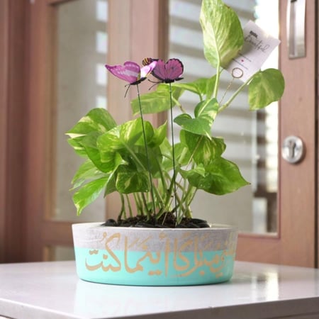 حوض كونكريت بتصميم تركواز ( مخصصه بالأسم )