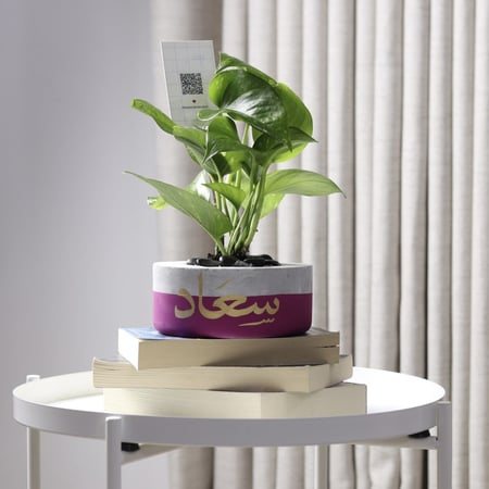 حوض كونكريت حجم صغير بألوان مختلفة