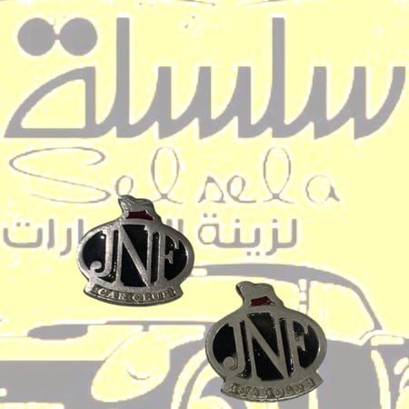 علامه قطعتين فضي