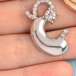 بروش المعدة