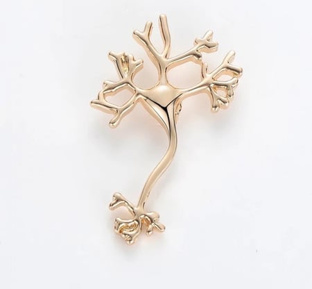 اكسسورات طبية