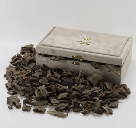 عود كينام دبل سوبر بتصميم متوسط وكبير الحجم