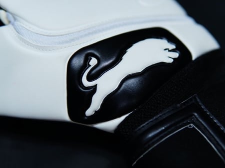 قفازات الحراسة