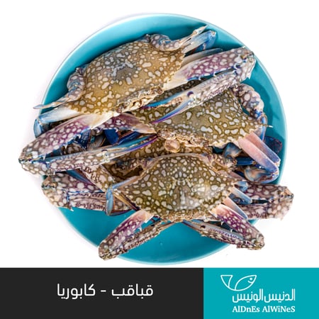 1 كيلو قباقب (كابوريا)