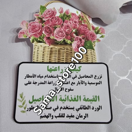 مشروع محاصيل من بلادي الطائف pdf لغتي ثاني ابتدائي الفصل الدراسي الأول