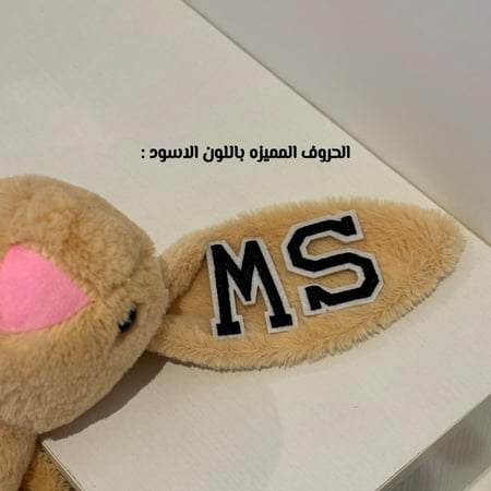 ارنب كبير مع اسم من اختيارك