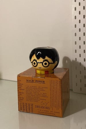 Harry Potter mug