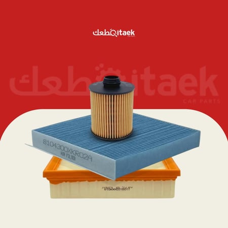 مجموعة فلاتر TANK300